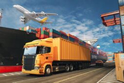 Logistics Solutions for Diverse Cargo Needs